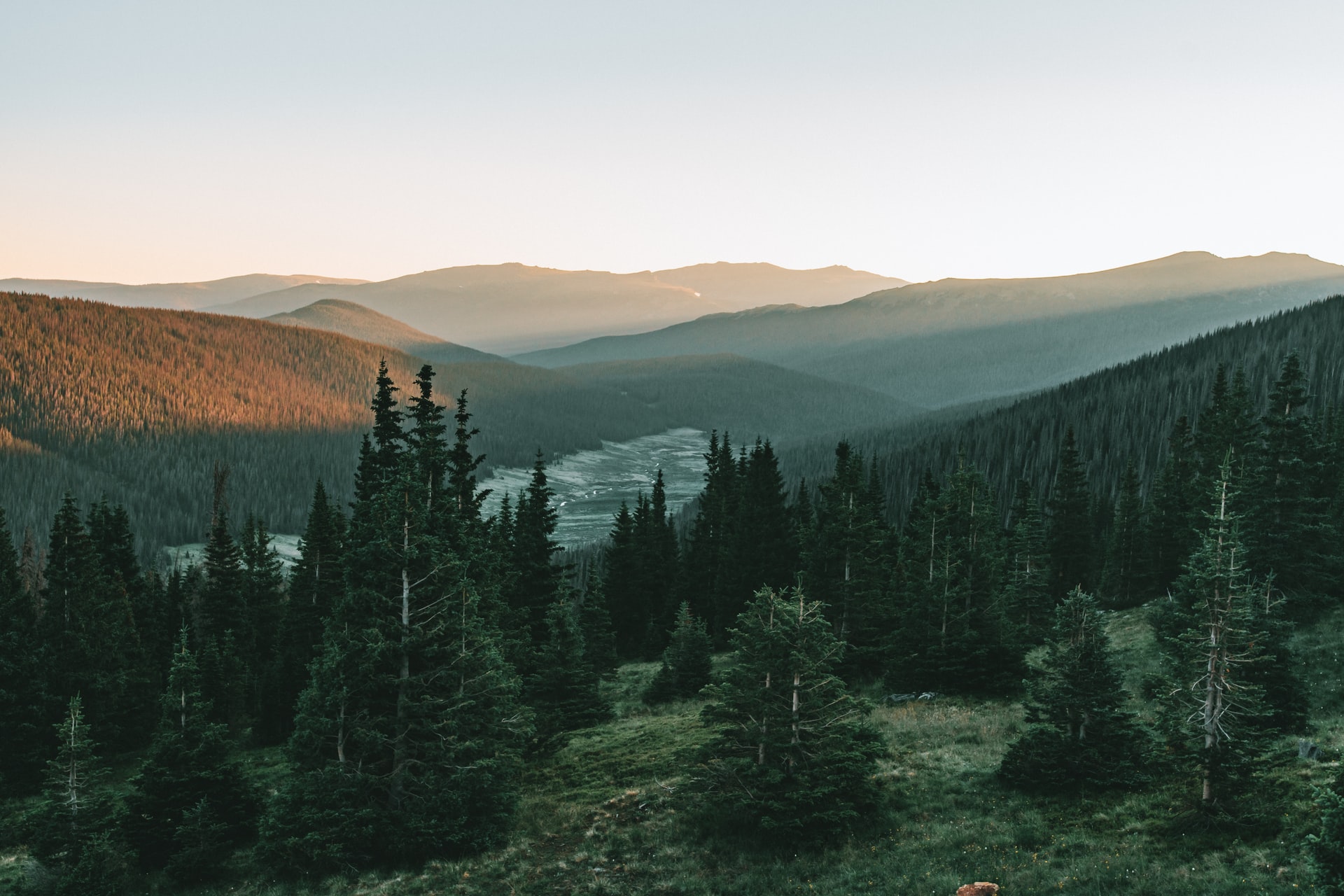 Cover Image for 孩提之天使