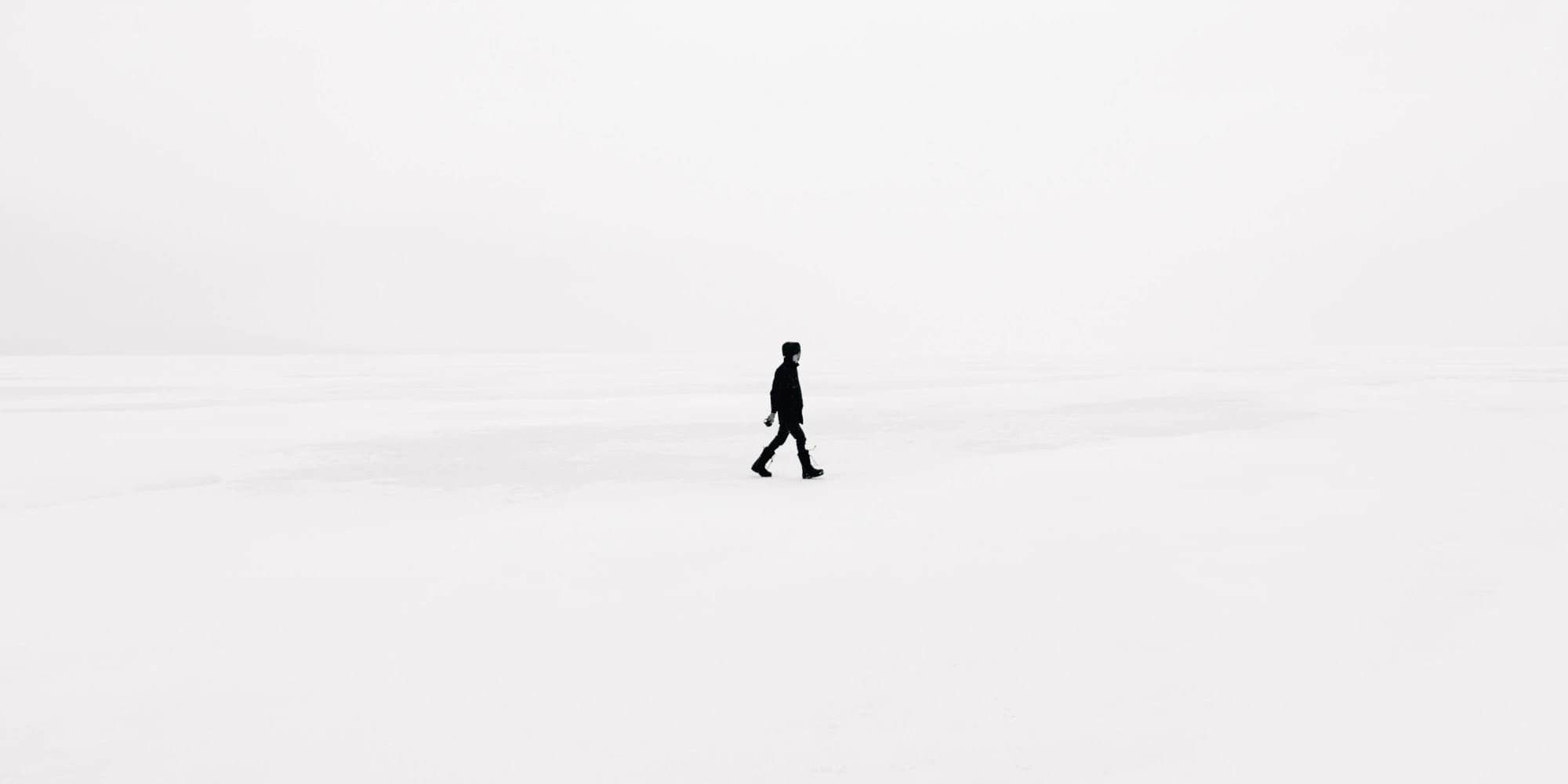 Cover Image for 我的延续